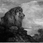 Lion on a Rock